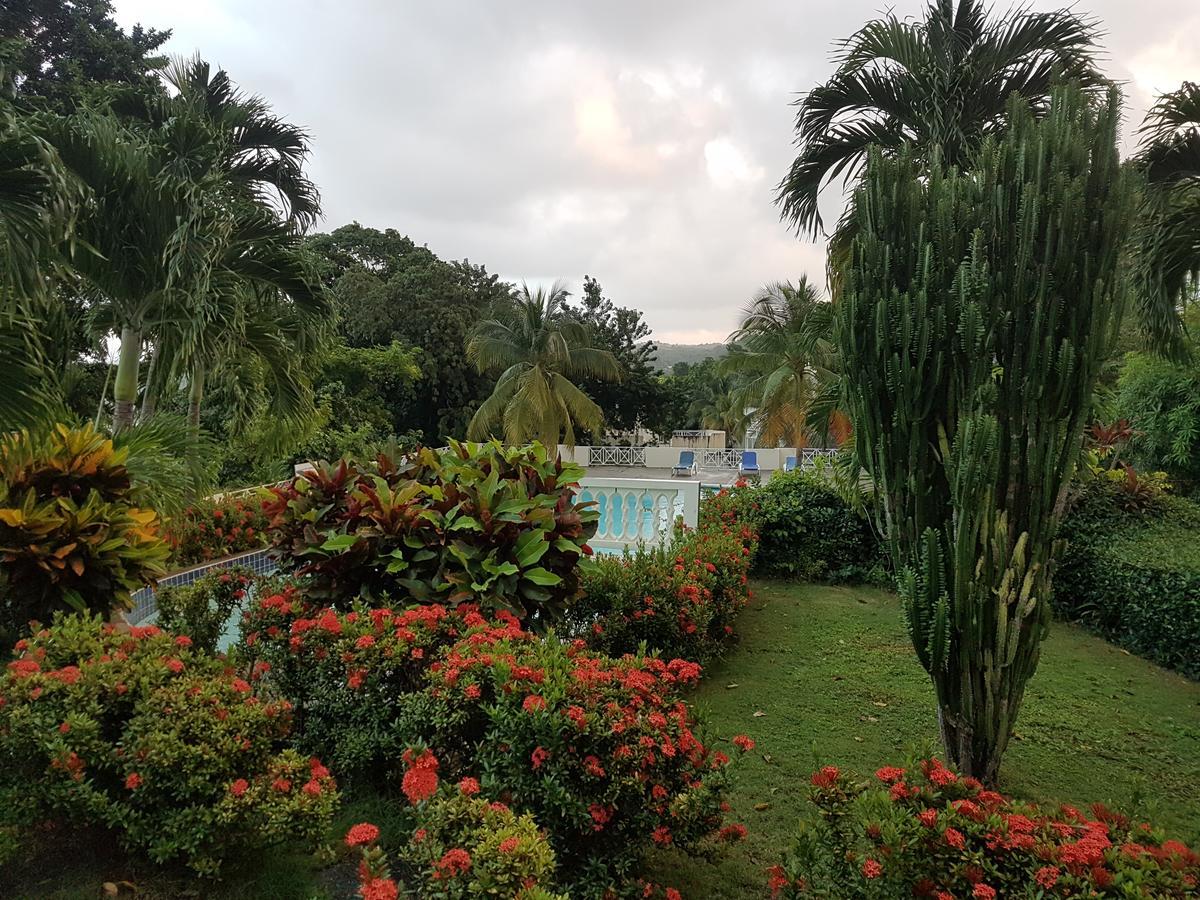 Skycastle Oasis Apartamento Ocho Rios Exterior foto